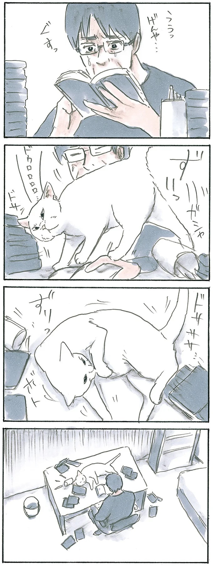 保護された子猫はすっかり家になじみました。先住猫からも可愛がられている…？／拾い猫のモチャ6（画像51/119枚目）