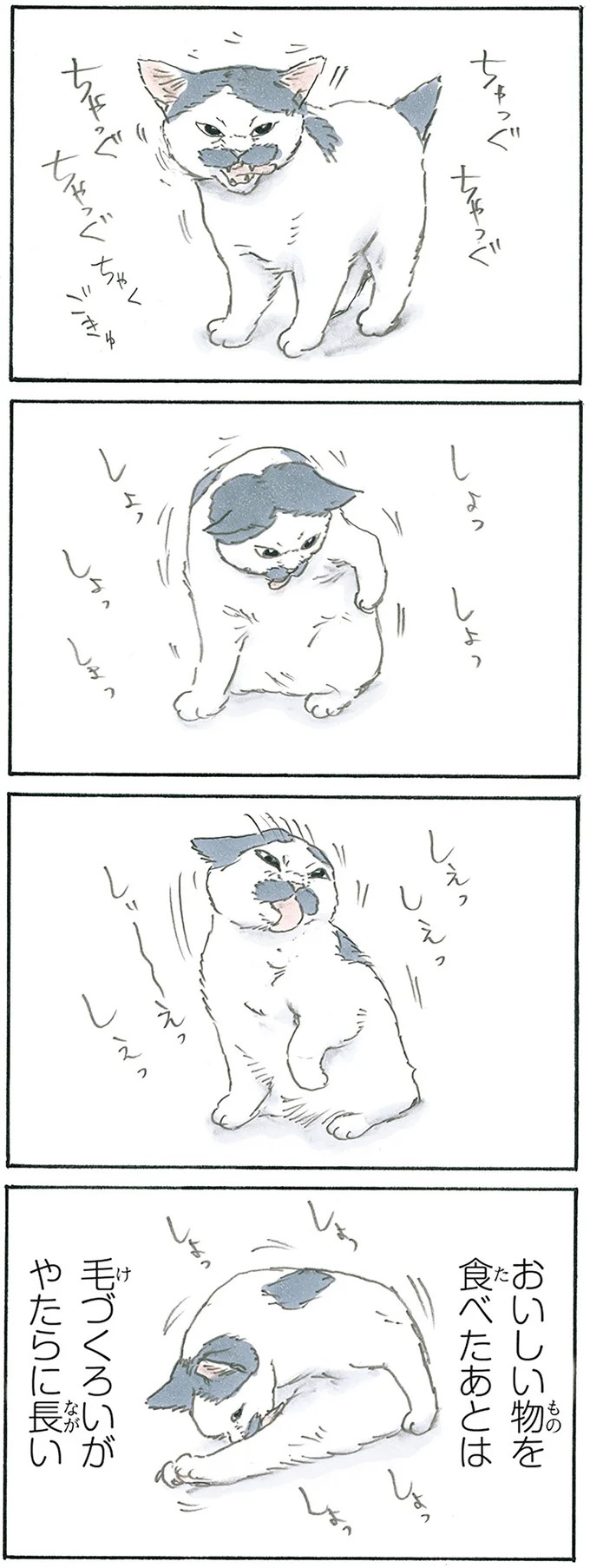 保護された子猫はすっかり家になじみました。先住猫からも可愛がられている…？／拾い猫のモチャ6（画像54/119枚目）