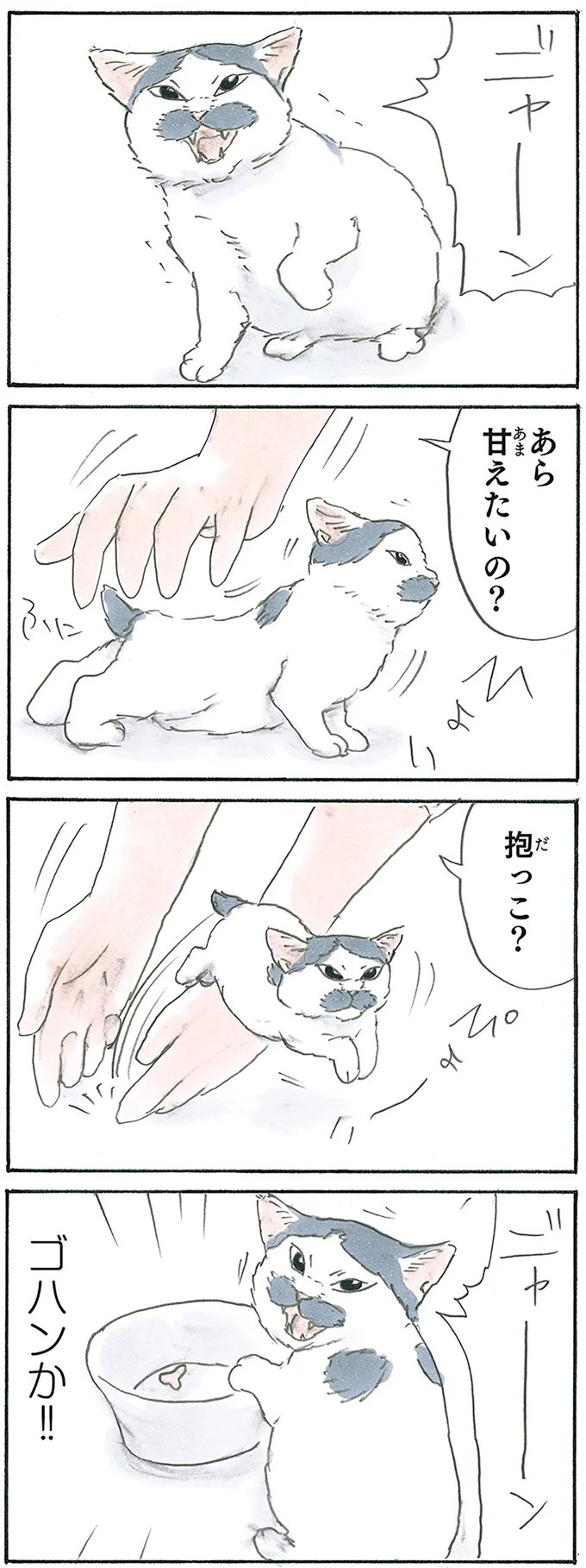 保護された子猫はすっかり家になじみました。先住猫からも可愛がられている…？／拾い猫のモチャ6（画像57/119枚目）