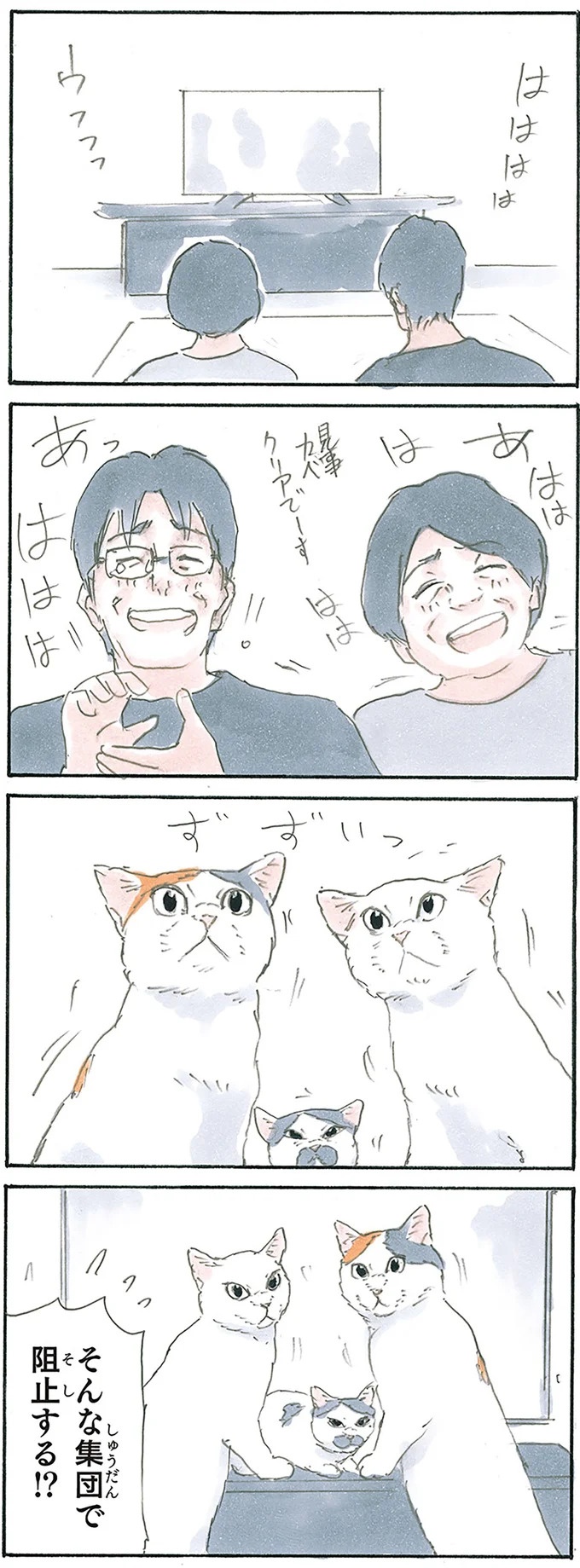 保護された子猫はすっかり家になじみました。先住猫からも可愛がられている…？／拾い猫のモチャ6（画像58/119枚目）