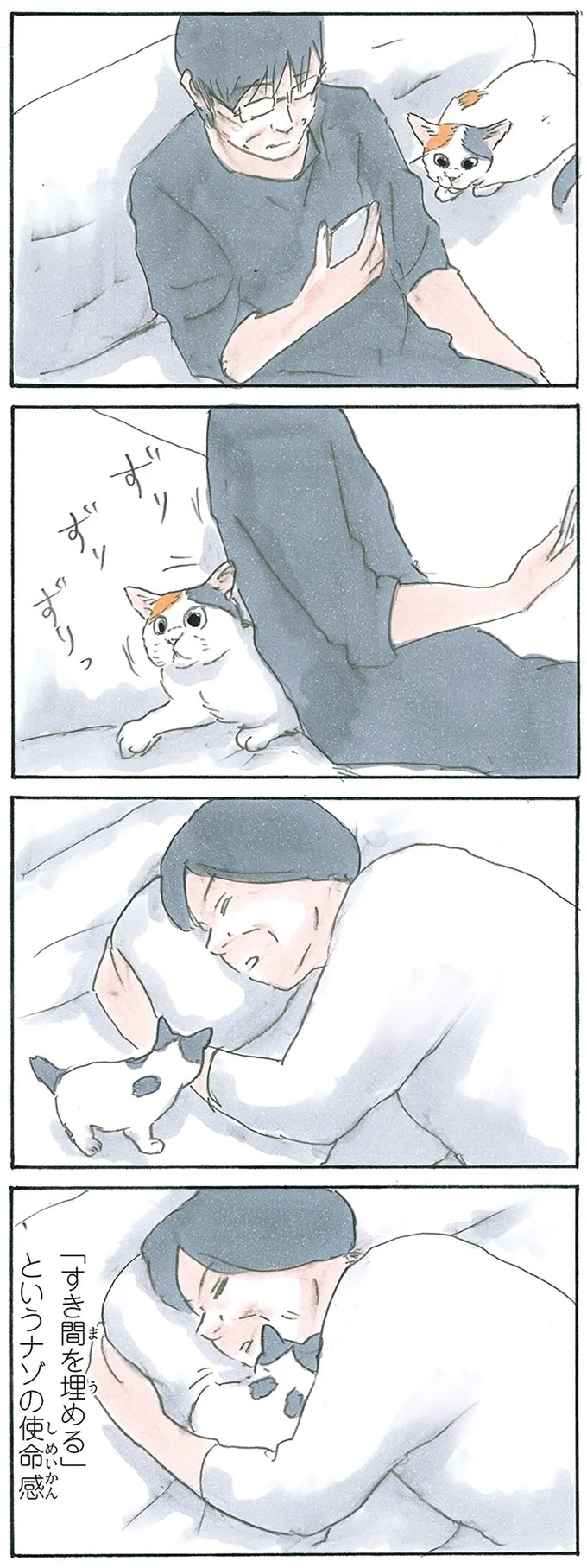 保護された子猫はすっかり家になじみました。先住猫からも可愛がられている…？／拾い猫のモチャ6（画像66/119枚目）