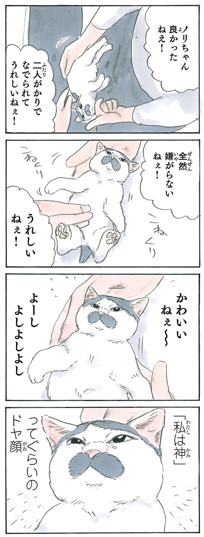保護された子猫はすっかり家になじみました。先住猫からも可愛がられている…？／拾い猫のモチャ6（画像67/119枚目）