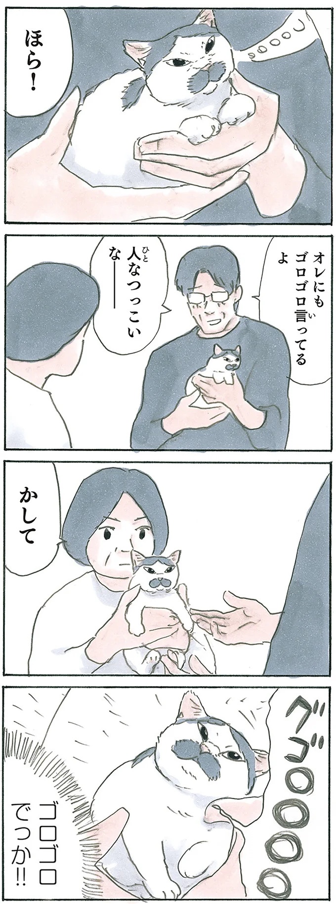 保護された子猫はすっかり家になじみました。先住猫からも可愛がられている…？／拾い猫のモチャ6（画像73/119枚目）