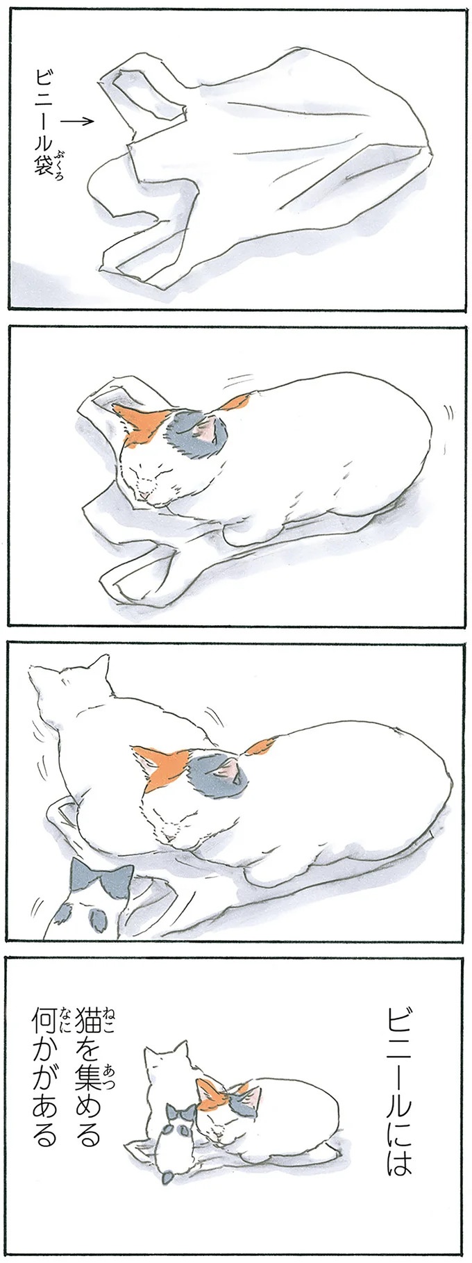 保護された子猫はすっかり家になじみました。先住猫からも可愛がられている…？／拾い猫のモチャ6（画像74/119枚目）