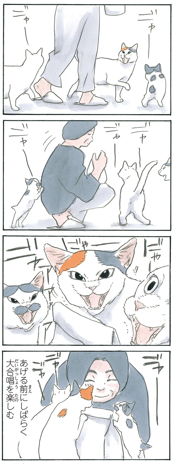 保護された子猫はすっかり家になじみました。先住猫からも可愛がられている…？／拾い猫のモチャ6（画像78/119枚目）