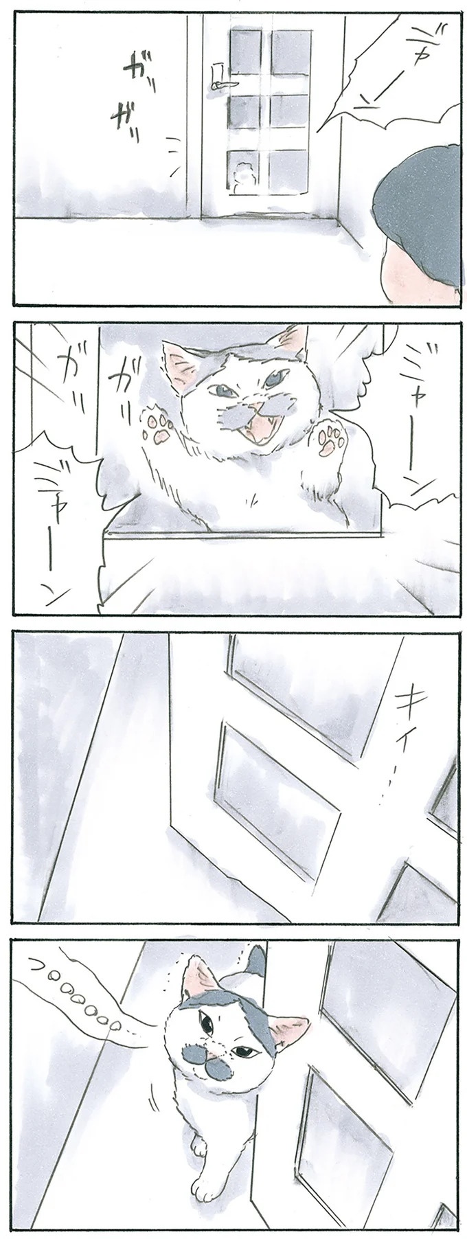保護された子猫はすっかり家になじみました。先住猫からも可愛がられている…？／拾い猫のモチャ6（画像79/119枚目）