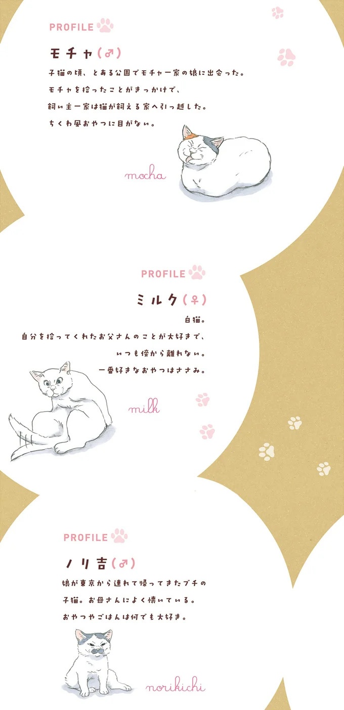 保護された子猫はすっかり家になじみました。先住猫からも可愛がられている…？／拾い猫のモチャ6（画像81/119枚目）