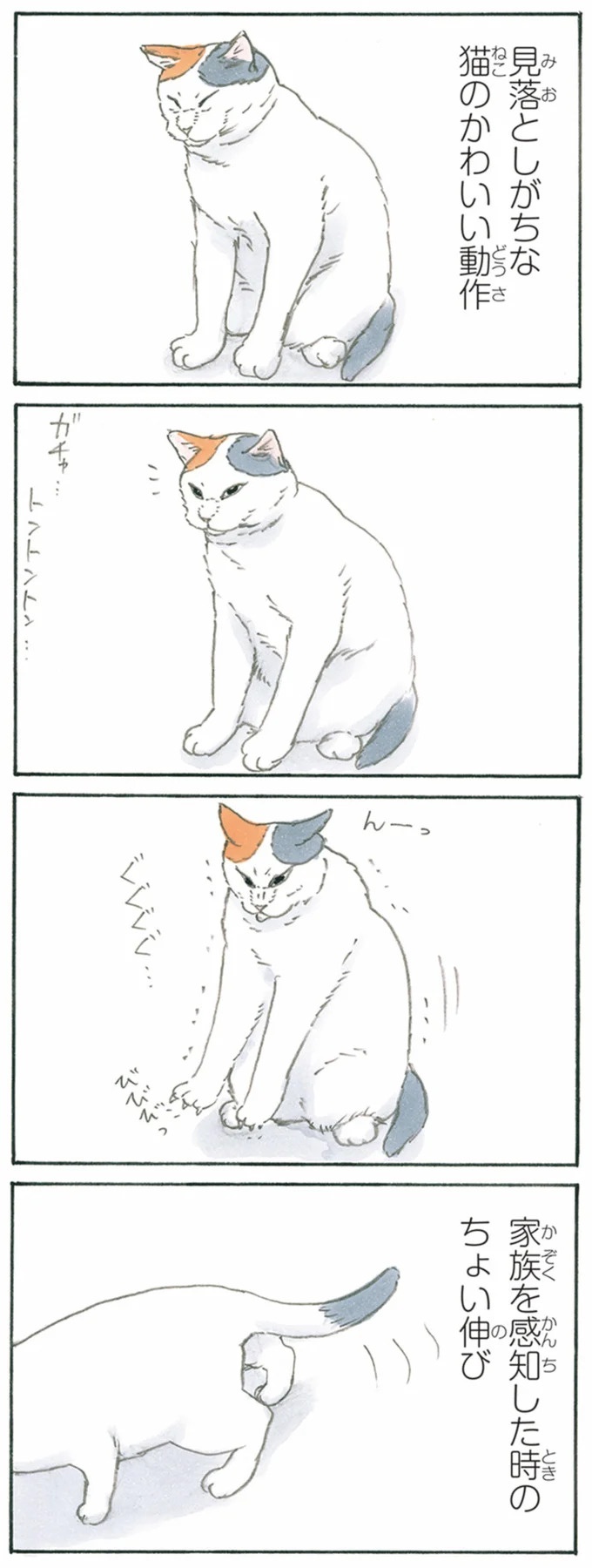 保護された子猫はすっかり家になじみました。先住猫からも可愛がられている…？／拾い猫のモチャ6（画像82/119枚目）