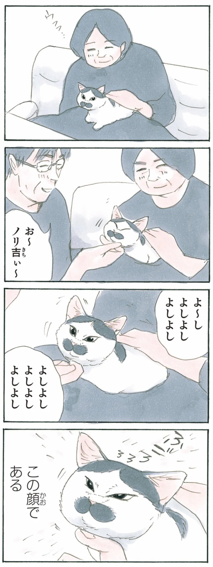 保護された子猫はすっかり家になじみました。先住猫からも可愛がられている…？／拾い猫のモチャ6（画像83/119枚目）
