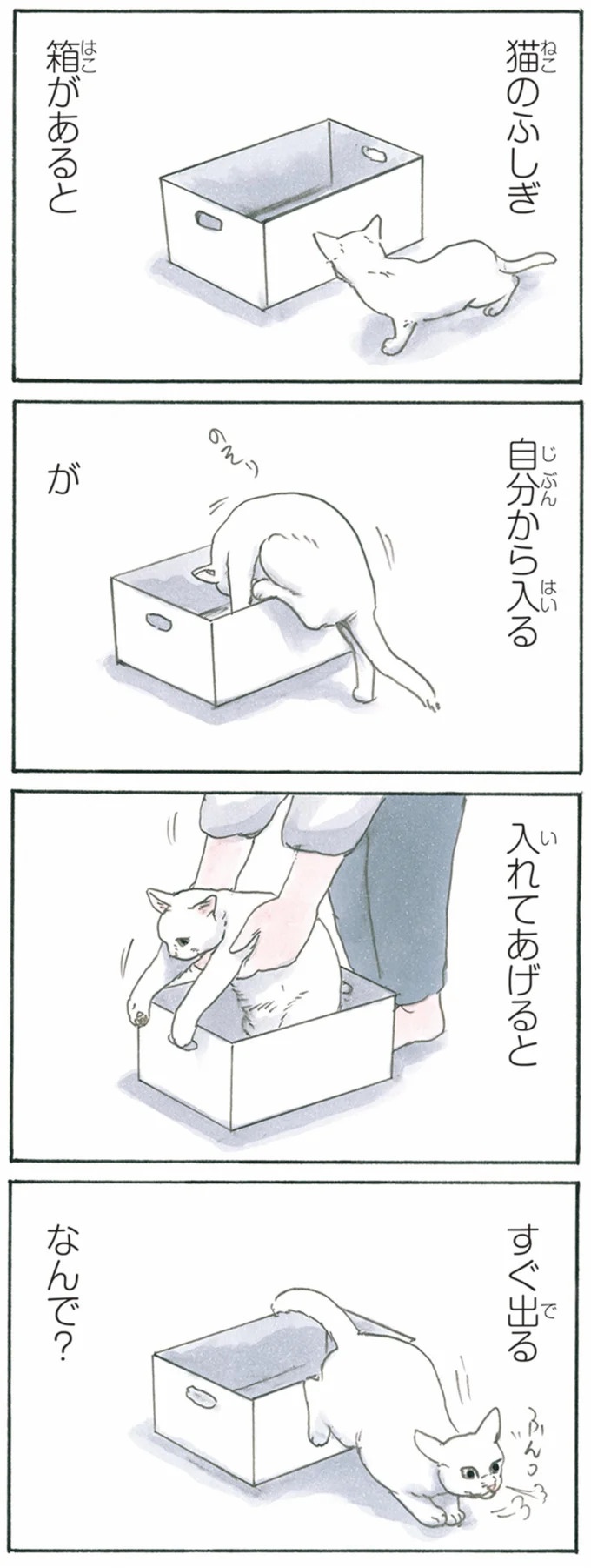 保護された子猫はすっかり家になじみました。先住猫からも可愛がられている…？／拾い猫のモチャ6（画像84/119枚目）