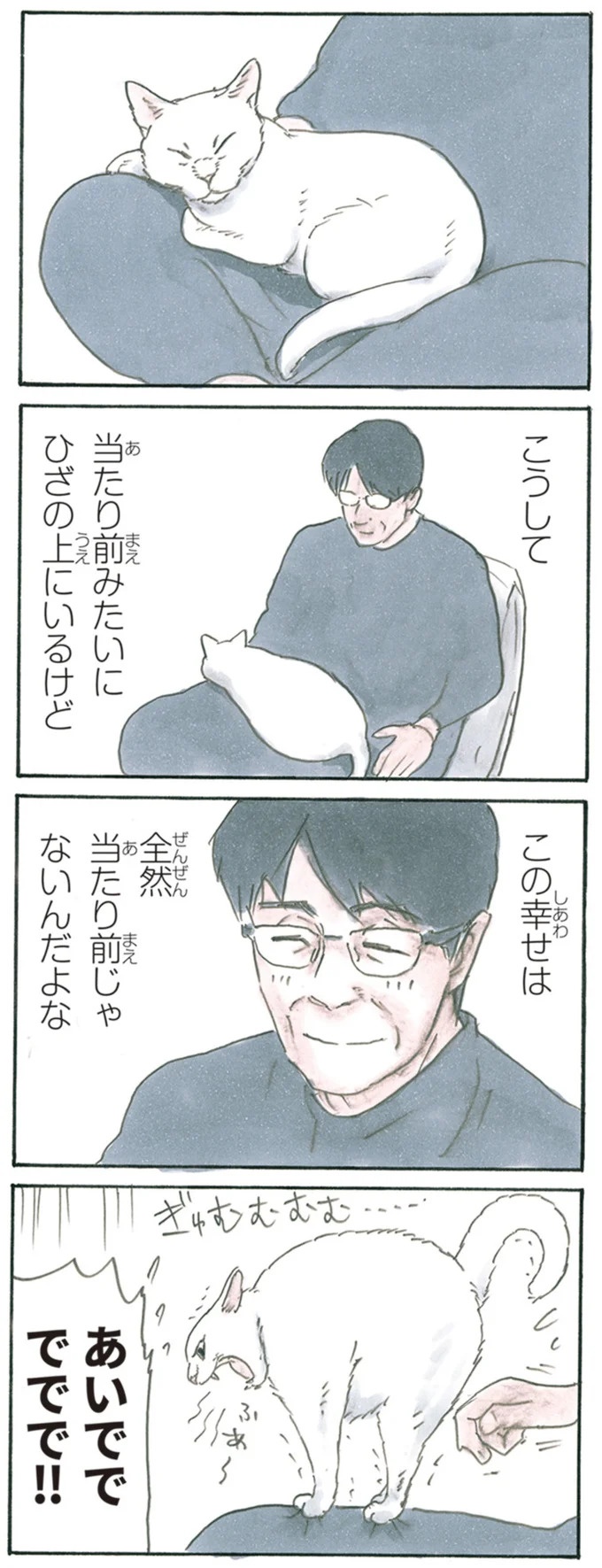 保護された子猫はすっかり家になじみました。先住猫からも可愛がられている…？／拾い猫のモチャ6（画像86/119枚目）