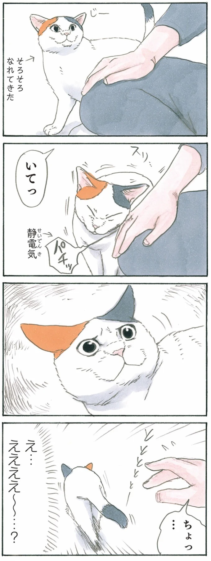 保護された子猫はすっかり家になじみました。先住猫からも可愛がられている…？／拾い猫のモチャ6（画像87/119枚目）