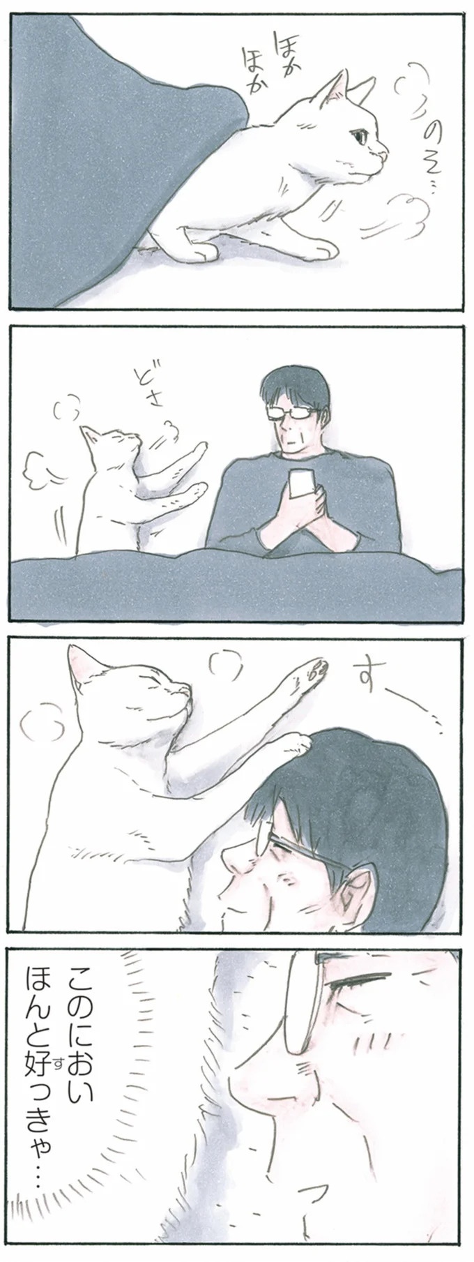 保護された子猫はすっかり家になじみました。先住猫からも可愛がられている…？／拾い猫のモチャ6（画像91/119枚目）