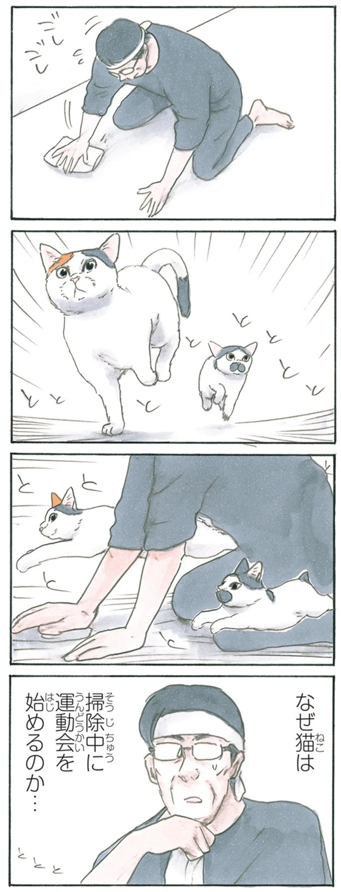 保護された子猫はすっかり家になじみました。先住猫からも可愛がられている…？／拾い猫のモチャ6（画像92/119枚目）