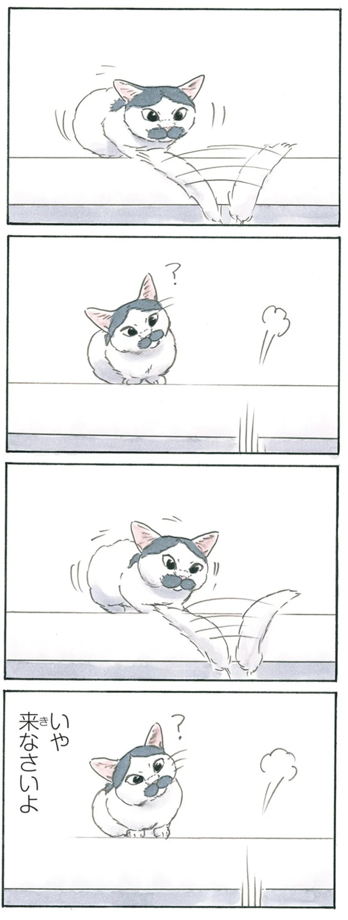 保護された子猫はすっかり家になじみました。先住猫からも可愛がられている…？／拾い猫のモチャ6（画像93/119枚目）
