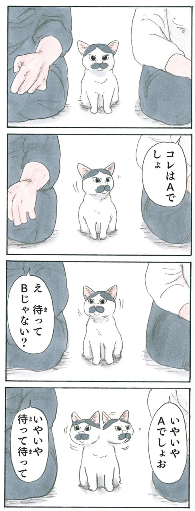 保護された子猫はすっかり家になじみました。先住猫からも可愛がられている…？／拾い猫のモチャ6（画像96/119枚目）