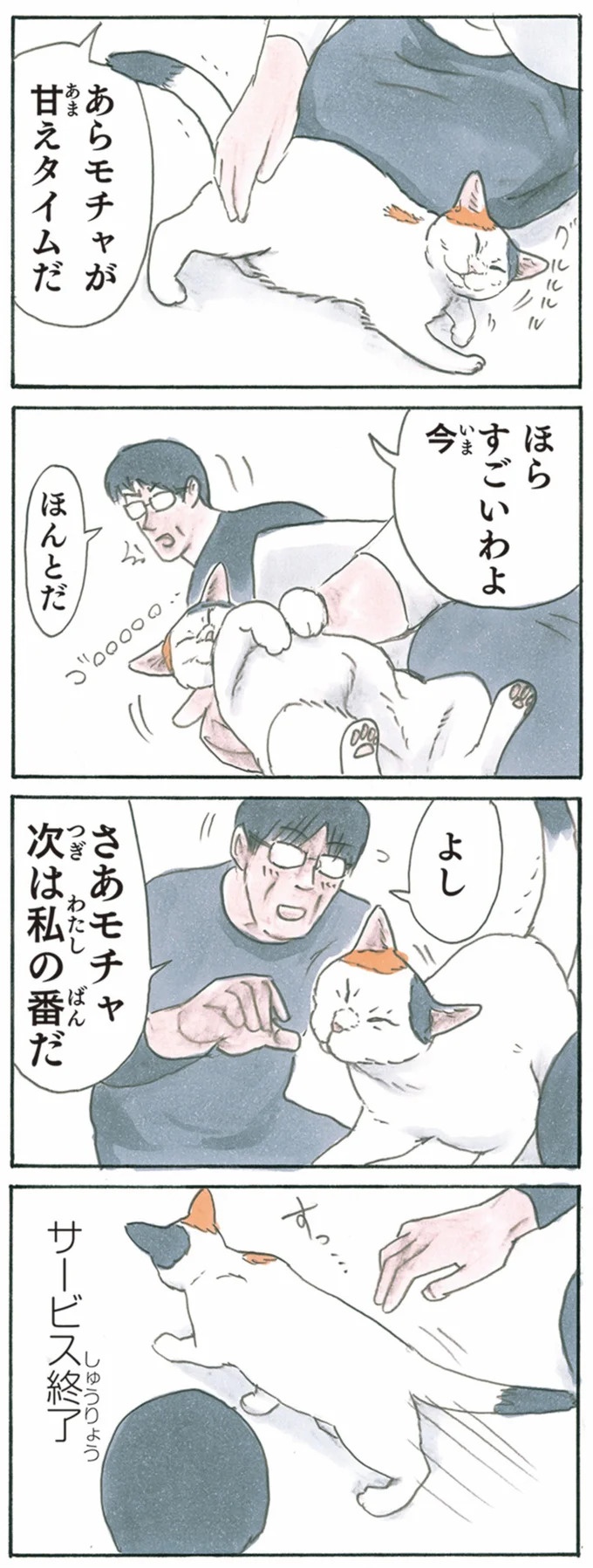 保護された子猫はすっかり家になじみました。先住猫からも可愛がられている…？／拾い猫のモチャ6（画像98/119枚目）