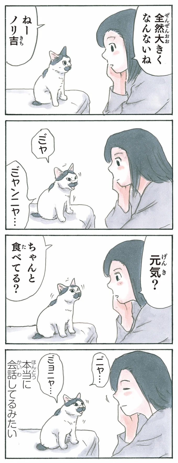 保護された子猫はすっかり家になじみました。先住猫からも可愛がられている…？／拾い猫のモチャ6（画像101/119枚目）