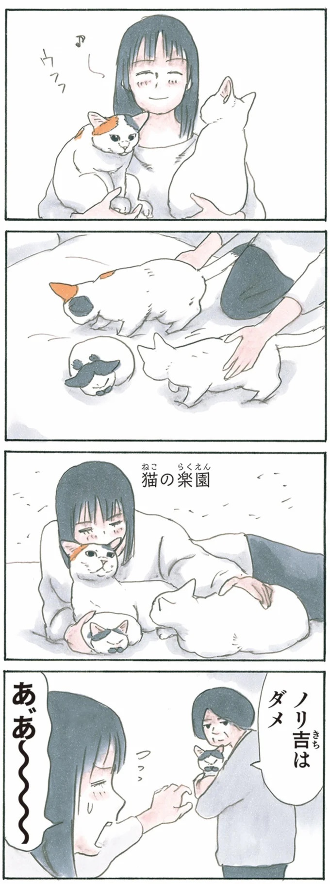 保護された子猫はすっかり家になじみました。先住猫からも可愛がられている…？／拾い猫のモチャ6（画像102/119枚目）