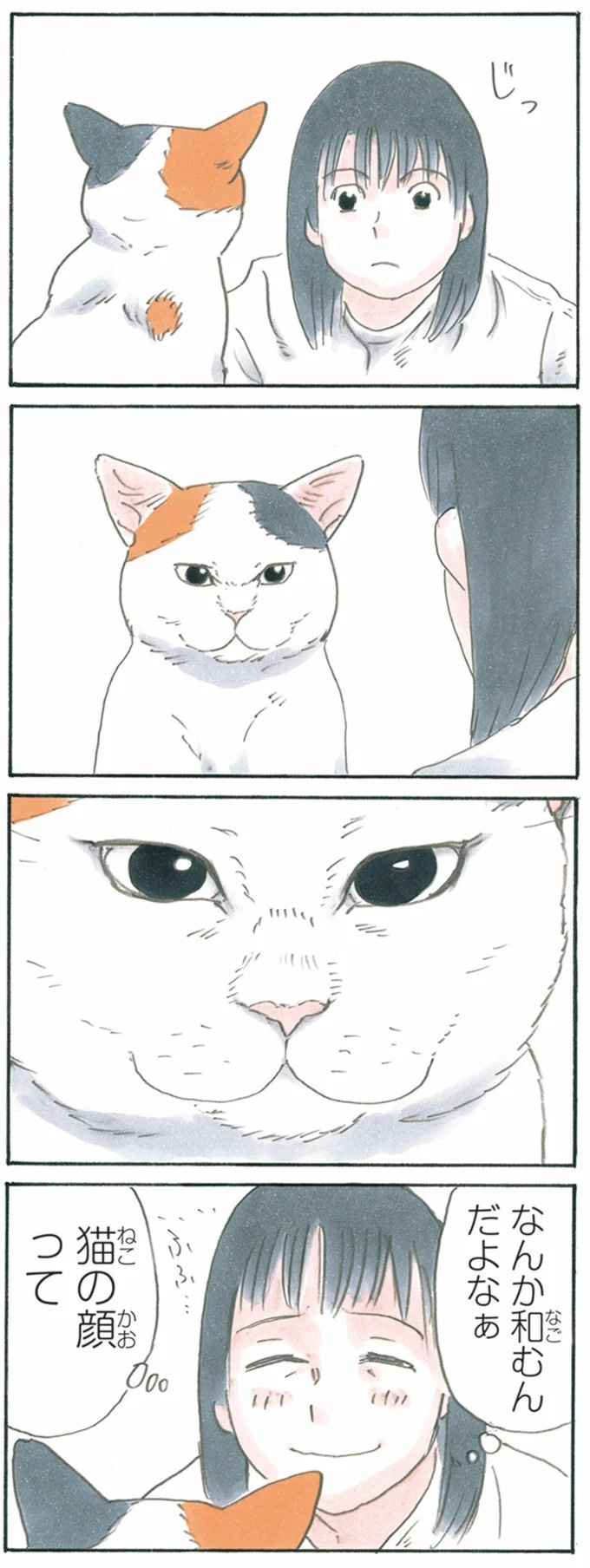 保護された子猫はすっかり家になじみました。先住猫からも可愛がられている…？／拾い猫のモチャ6（画像106/119枚目）