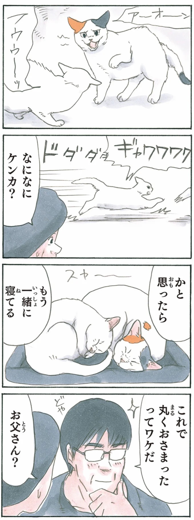 保護された子猫はすっかり家になじみました。先住猫からも可愛がられている…？／拾い猫のモチャ6（画像107/119枚目）