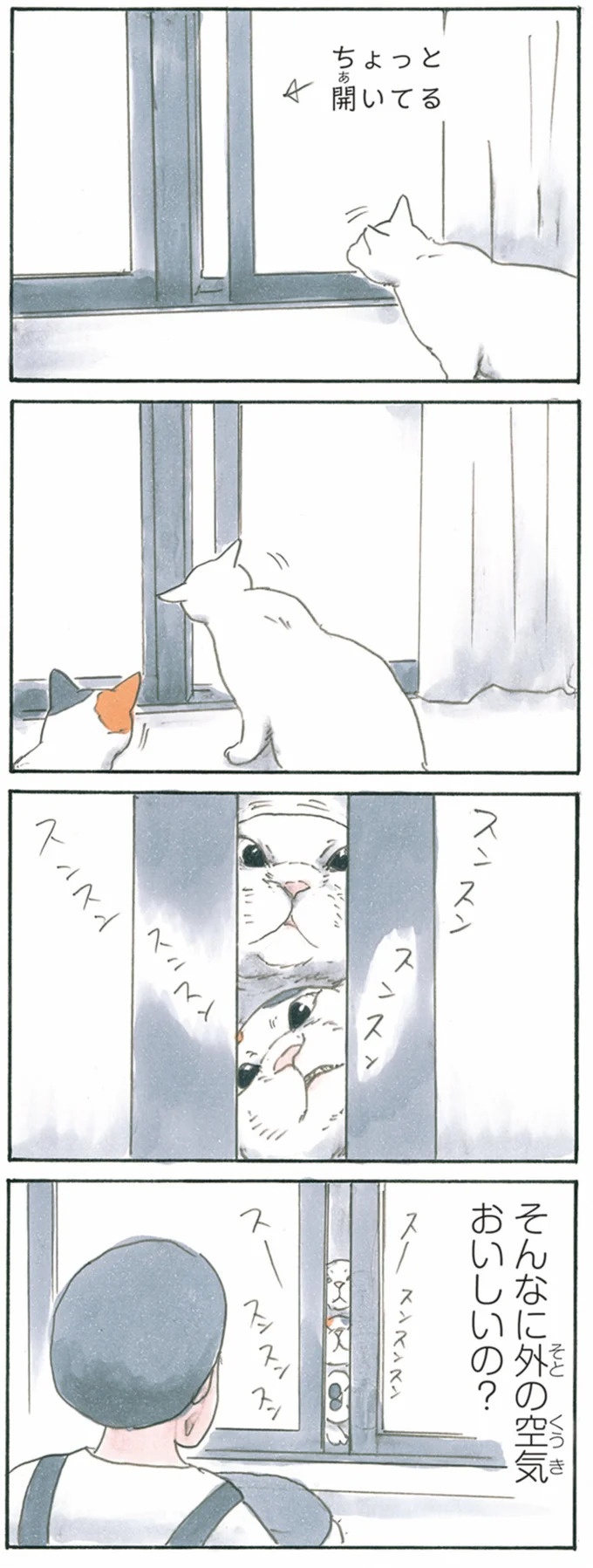 保護された子猫はすっかり家になじみました。先住猫からも可愛がられている…？／拾い猫のモチャ6（画像111/119枚目）