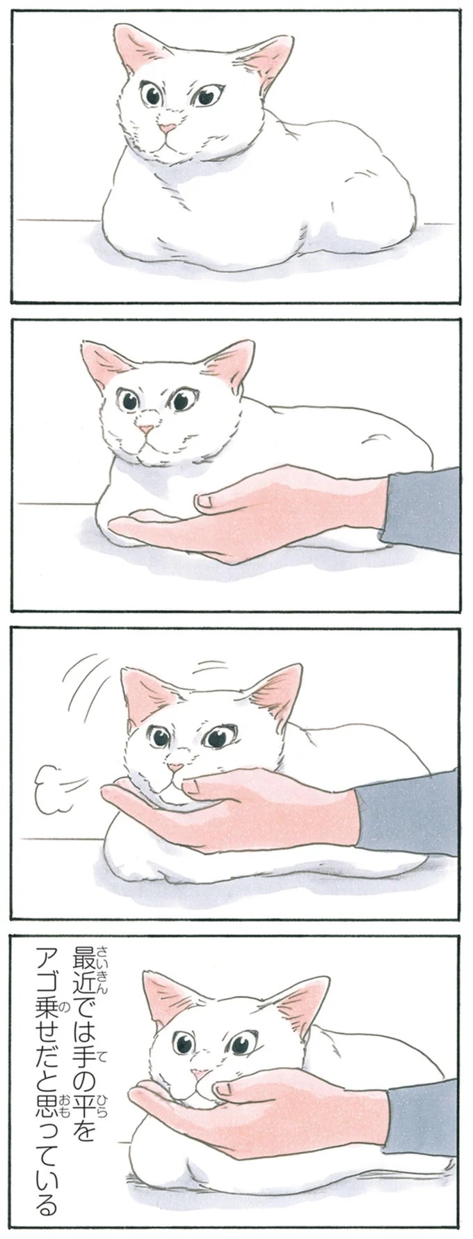 保護された子猫はすっかり家になじみました。先住猫からも可愛がられている…？／拾い猫のモチャ6（画像113/119枚目）