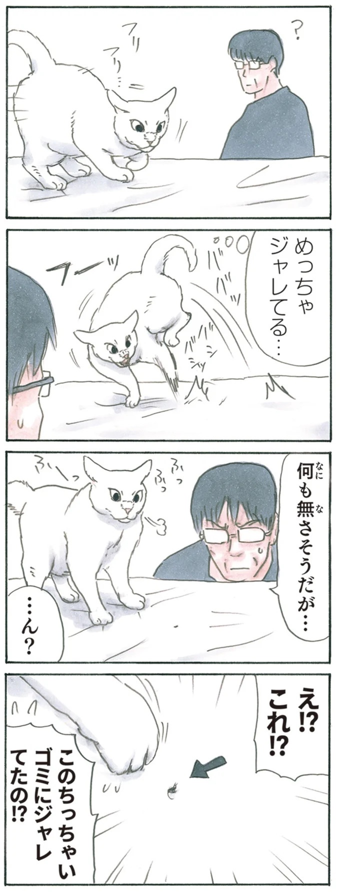 保護された子猫はすっかり家になじみました。先住猫からも可愛がられている…？／拾い猫のモチャ6（画像114/119枚目）