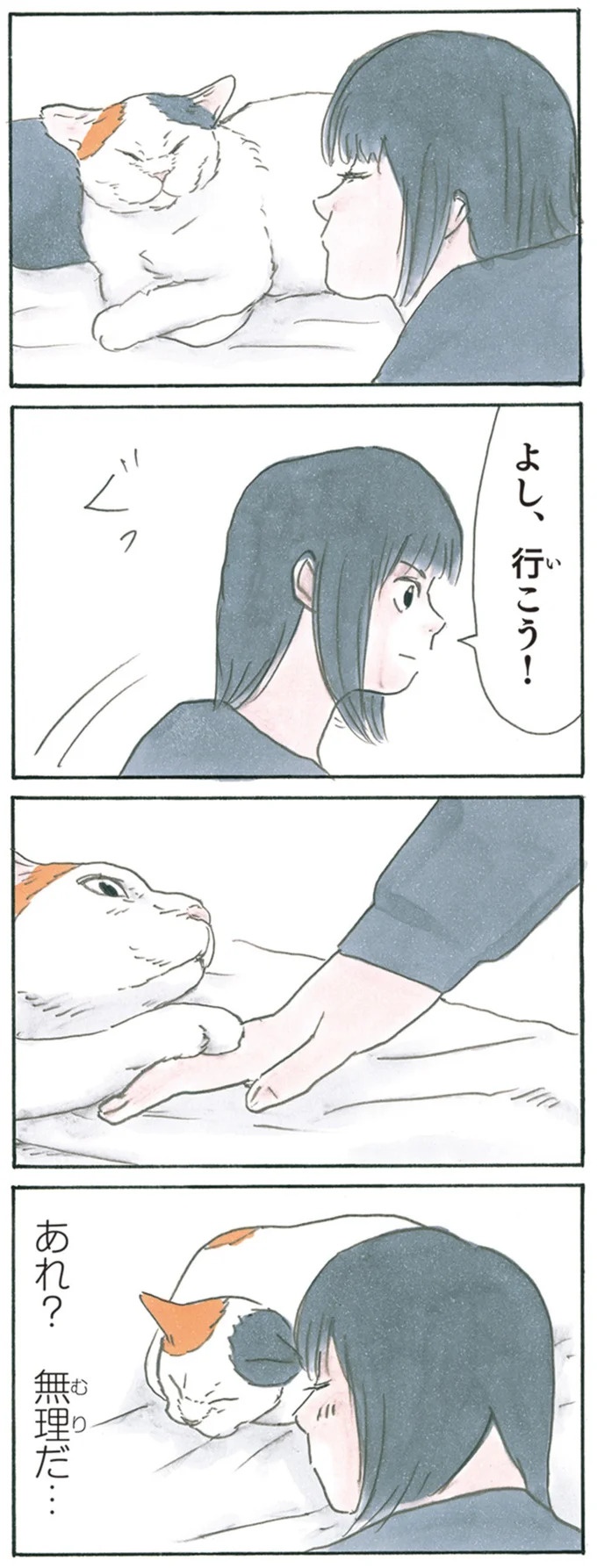 保護された子猫はすっかり家になじみました。先住猫からも可愛がられている…？／拾い猫のモチャ6（画像116/119枚目）