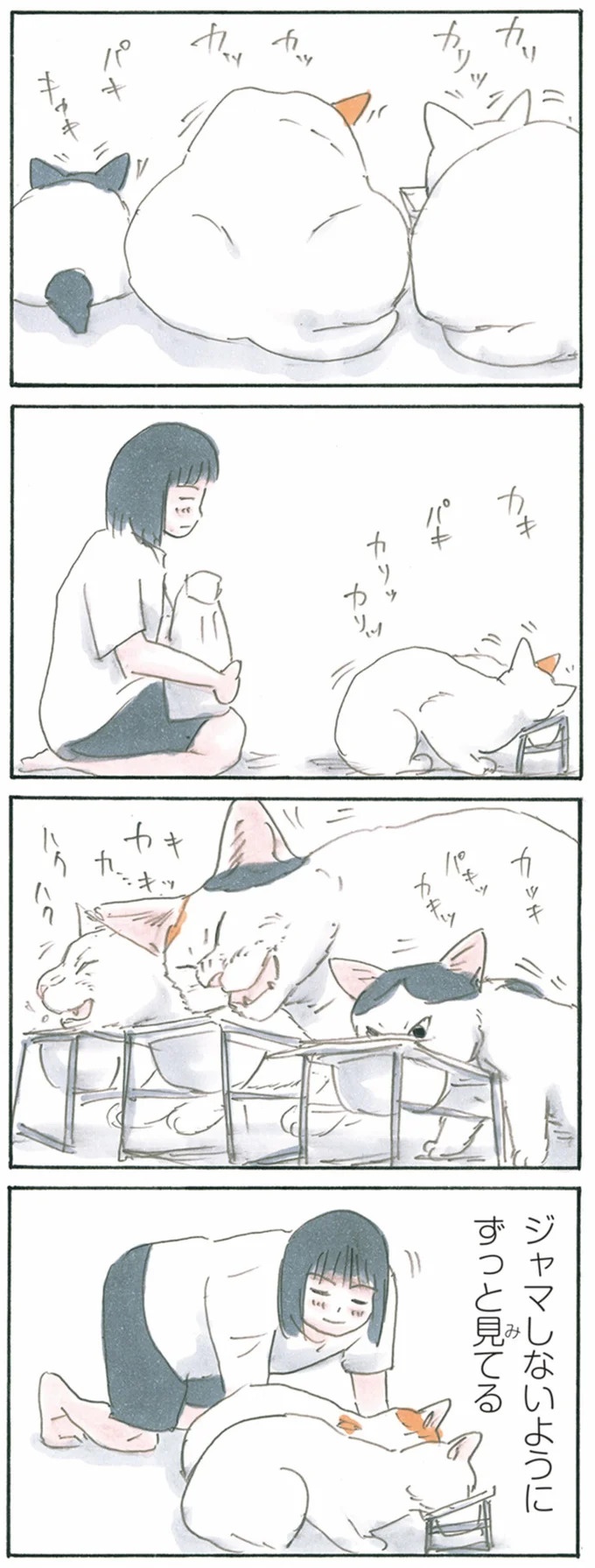 保護された子猫はすっかり家になじみました。先住猫からも可愛がられている…？／拾い猫のモチャ6（画像117/119枚目）