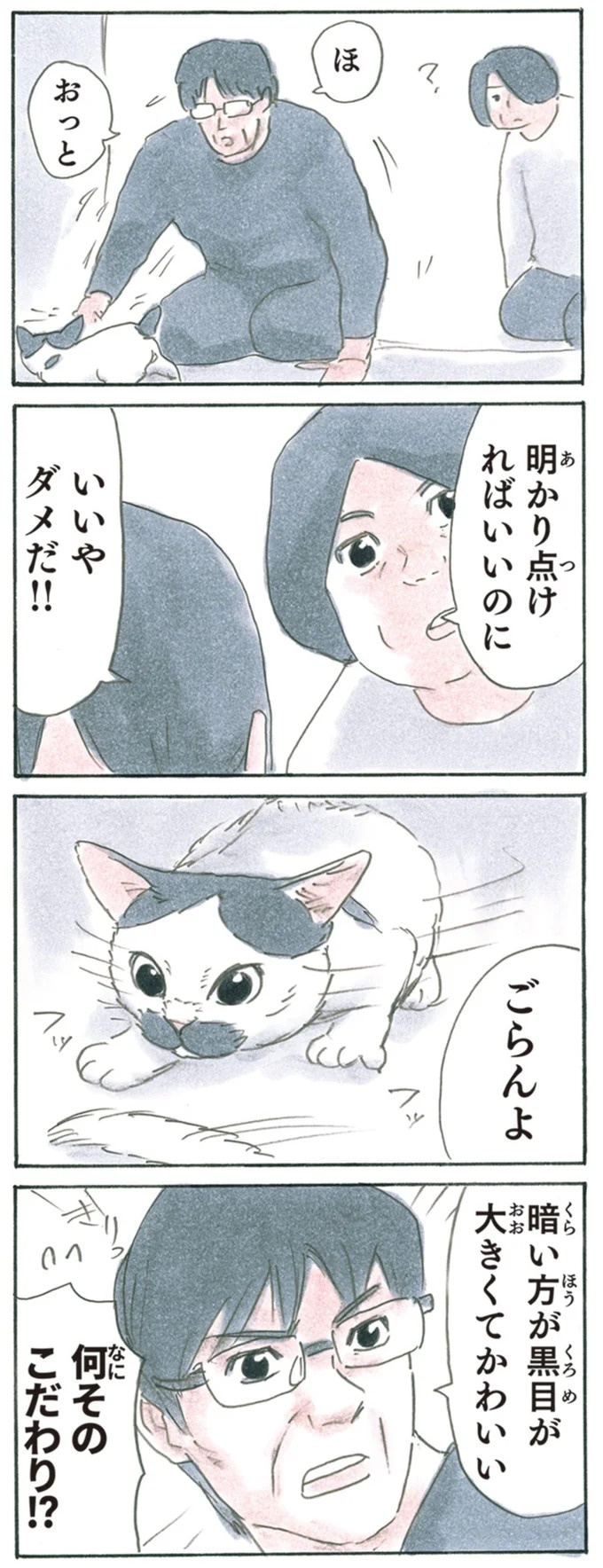 保護された子猫はすっかり家になじみました。先住猫からも可愛がられている…？／拾い猫のモチャ6（画像118/119枚目）