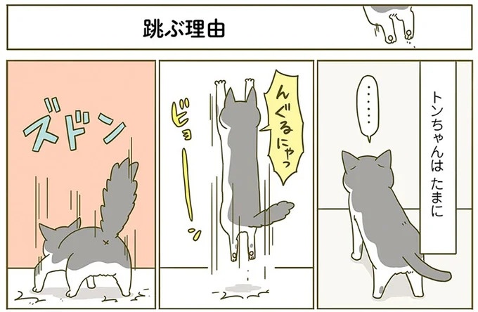 猫の「見ててね」アピールがかわいい！でも飼い主はやりたいことが…／うちの猫がまた変なことしてる。2（画像6/13枚目）