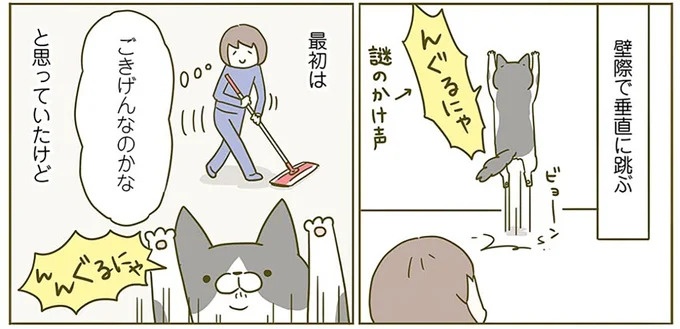 猫の「見ててね」アピールがかわいい！でも飼い主はやりたいことが…／うちの猫がまた変なことしてる。2（画像7/13枚目）