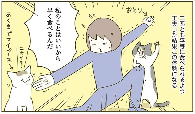 猫の「見ててね」アピールがかわいい！でも飼い主はやりたいことが…／うちの猫がまた変なことしてる。2（画像12/13枚目）