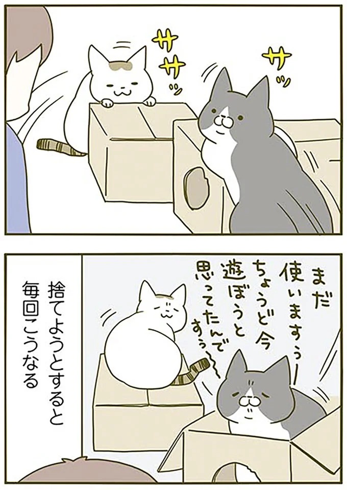 食いしん坊な猫がごはんも食べずに入り浸り!? 年に数回ドハマリする運命のコレ／うちの猫がまた変なことしてる。2（画像8/17枚目）