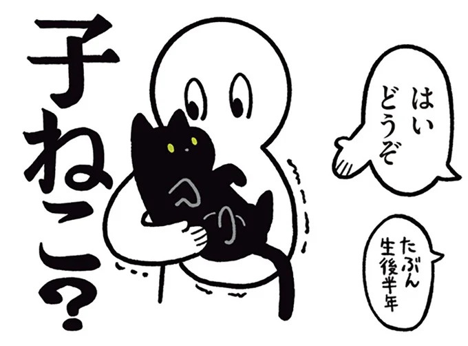 「ノラの子猫を保護してるからもらって」家にきた初日から…え、嘘でしょ？／黒猫ろんと暮らしたら（画像1/184枚目）