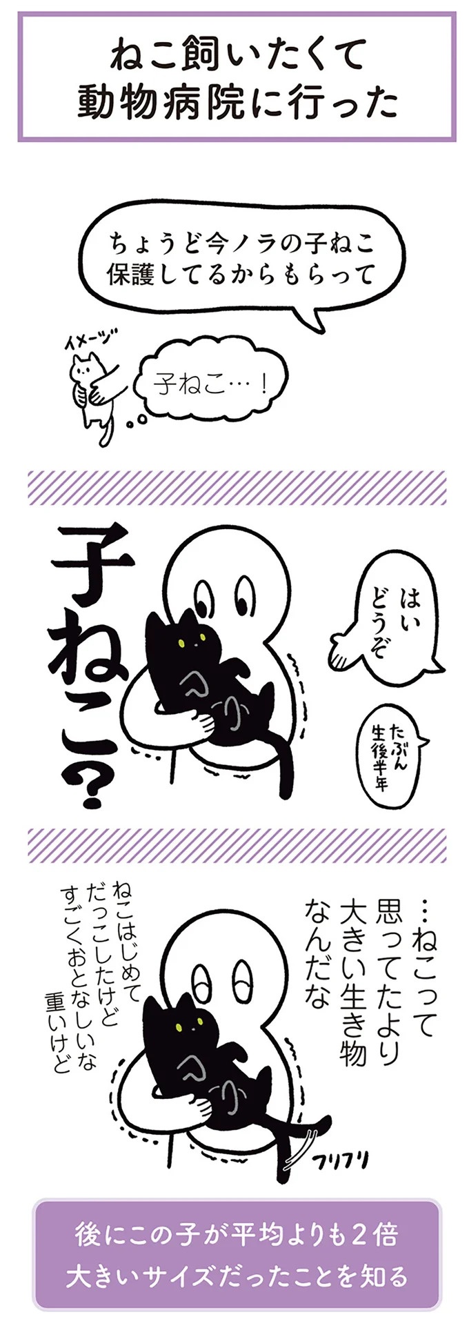 「ノラの子猫を保護してるからもらって」家にきた初日から…え、嘘でしょ？／黒猫ろんと暮らしたら（画像2/184枚目）