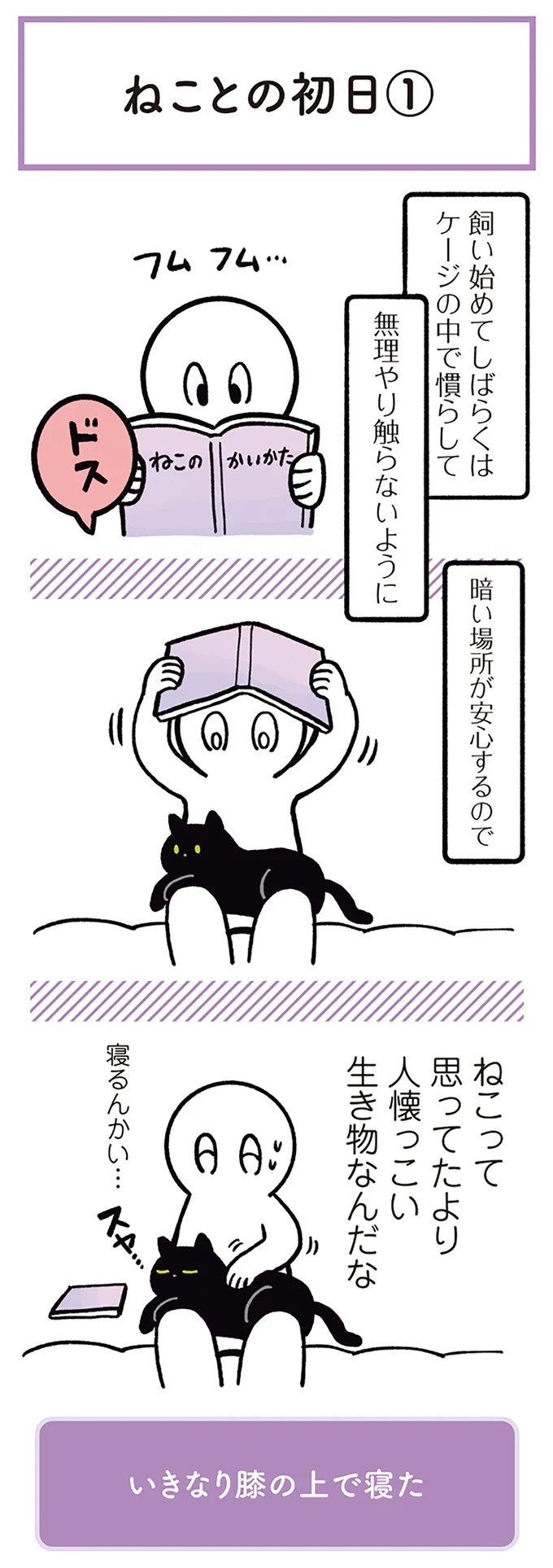 「ノラの子猫を保護してるからもらって」家にきた初日から…え、嘘でしょ？／黒猫ろんと暮らしたら（画像4/184枚目）