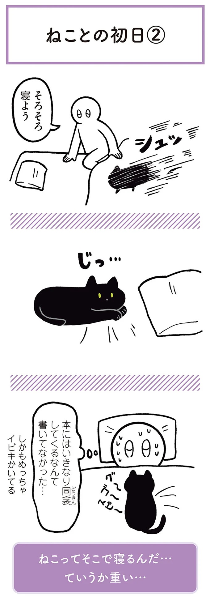 「ノラの子猫を保護してるからもらって」家にきた初日から…え、嘘でしょ？／黒猫ろんと暮らしたら（画像6/184枚目）