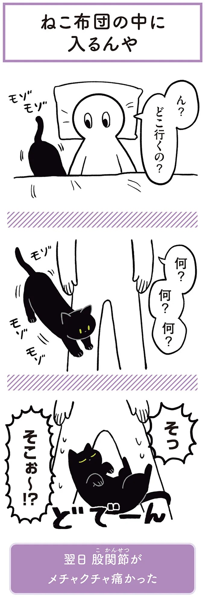 「ノラの子猫を保護してるからもらって」家にきた初日から…え、嘘でしょ？／黒猫ろんと暮らしたら（画像8/184枚目）