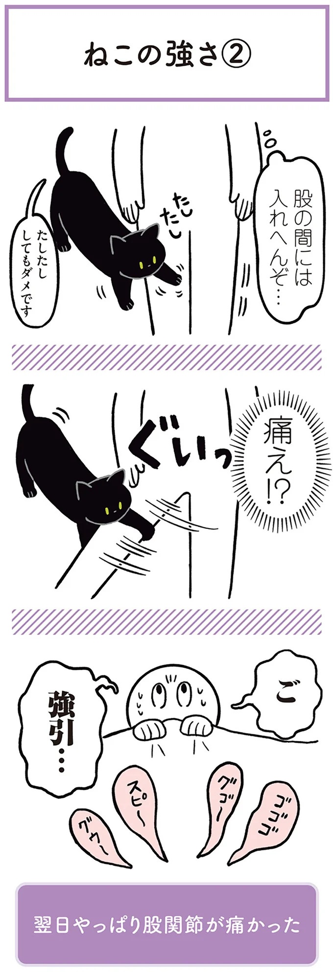 「ノラの子猫を保護してるからもらって」家にきた初日から…え、嘘でしょ？／黒猫ろんと暮らしたら（画像11/184枚目）
