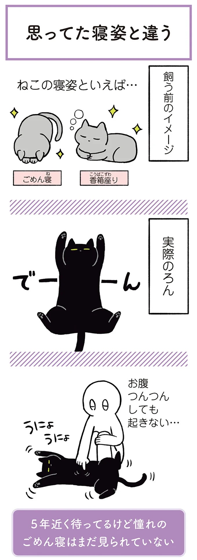 「ノラの子猫を保護してるからもらって」家にきた初日から…え、嘘でしょ？／黒猫ろんと暮らしたら（画像12/184枚目）