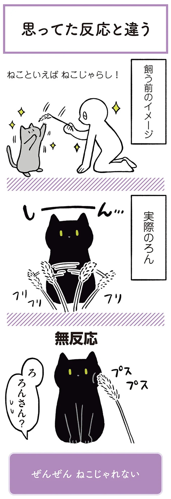 「ノラの子猫を保護してるからもらって」家にきた初日から…え、嘘でしょ？／黒猫ろんと暮らしたら（画像14/184枚目）