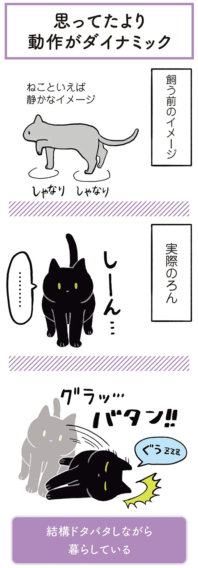 「ノラの子猫を保護してるからもらって」家にきた初日から…え、嘘でしょ？／黒猫ろんと暮らしたら（画像16/184枚目）