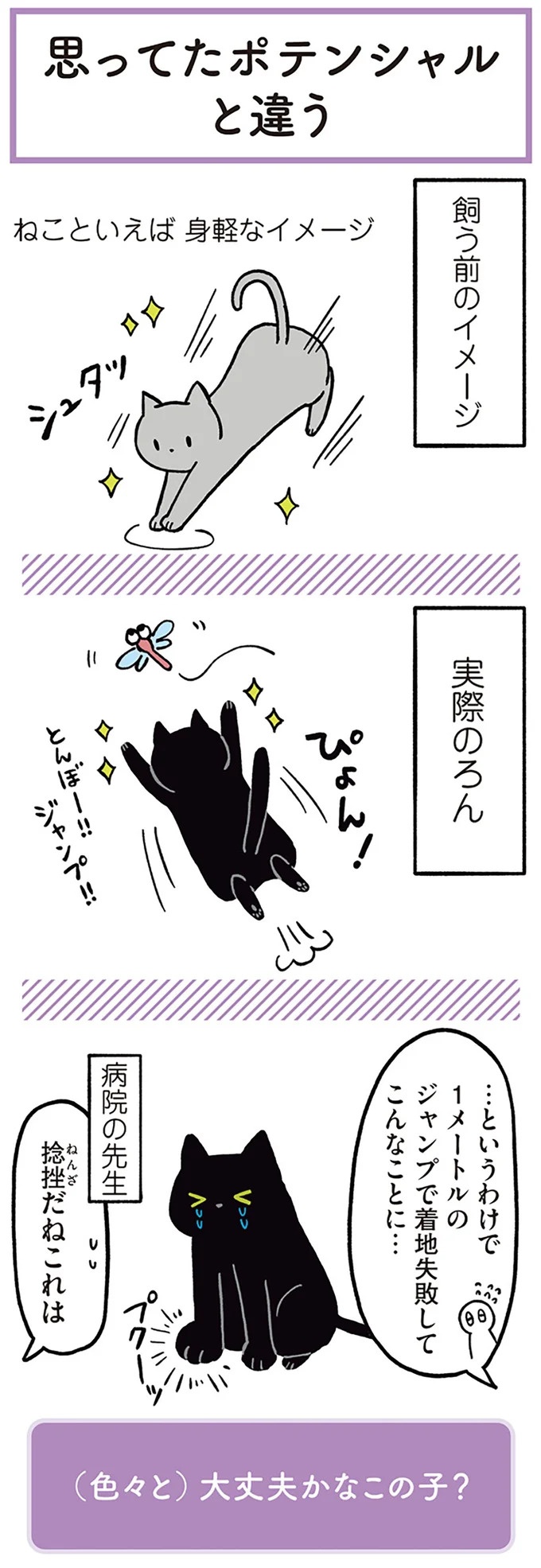「ノラの子猫を保護してるからもらって」家にきた初日から…え、嘘でしょ？／黒猫ろんと暮らしたら（画像17/184枚目）