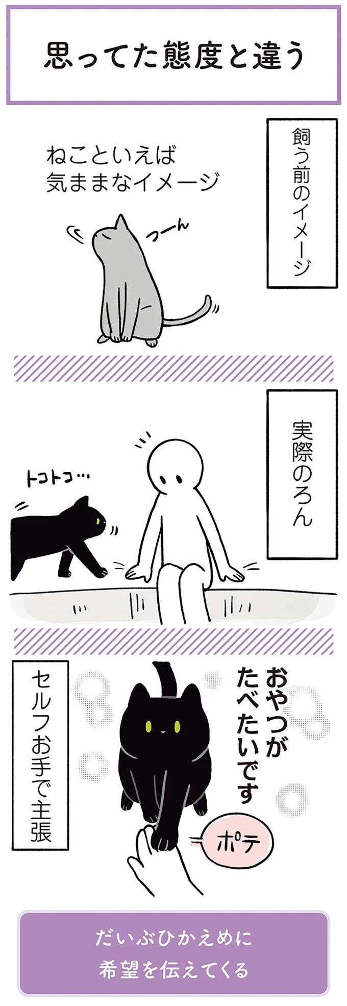 「ノラの子猫を保護してるからもらって」家にきた初日から…え、嘘でしょ？／黒猫ろんと暮らしたら（画像19/184枚目）