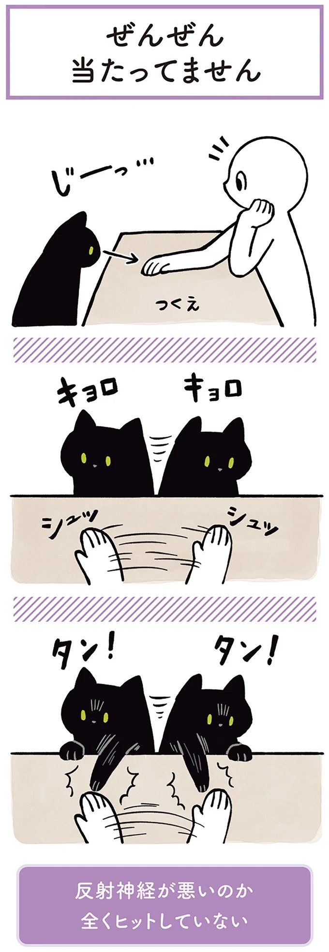 「ノラの子猫を保護してるからもらって」家にきた初日から…え、嘘でしょ？／黒猫ろんと暮らしたら（画像22/184枚目）