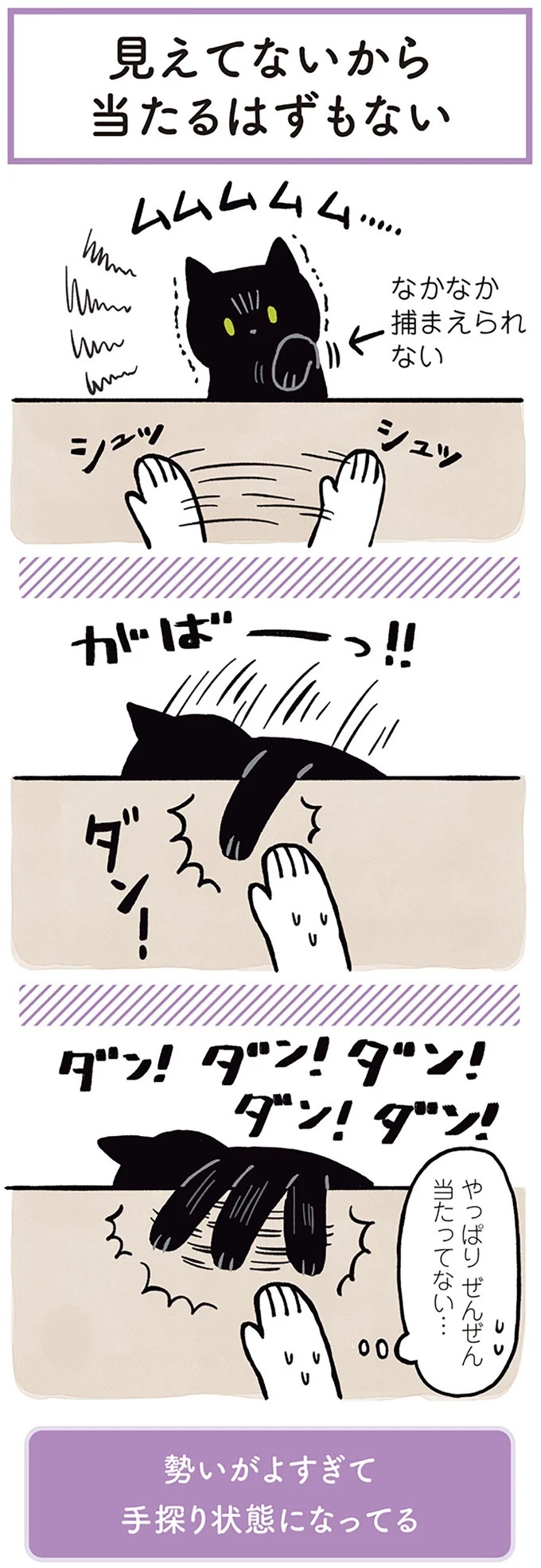 「ノラの子猫を保護してるからもらって」家にきた初日から…え、嘘でしょ？／黒猫ろんと暮らしたら（画像23/184枚目）