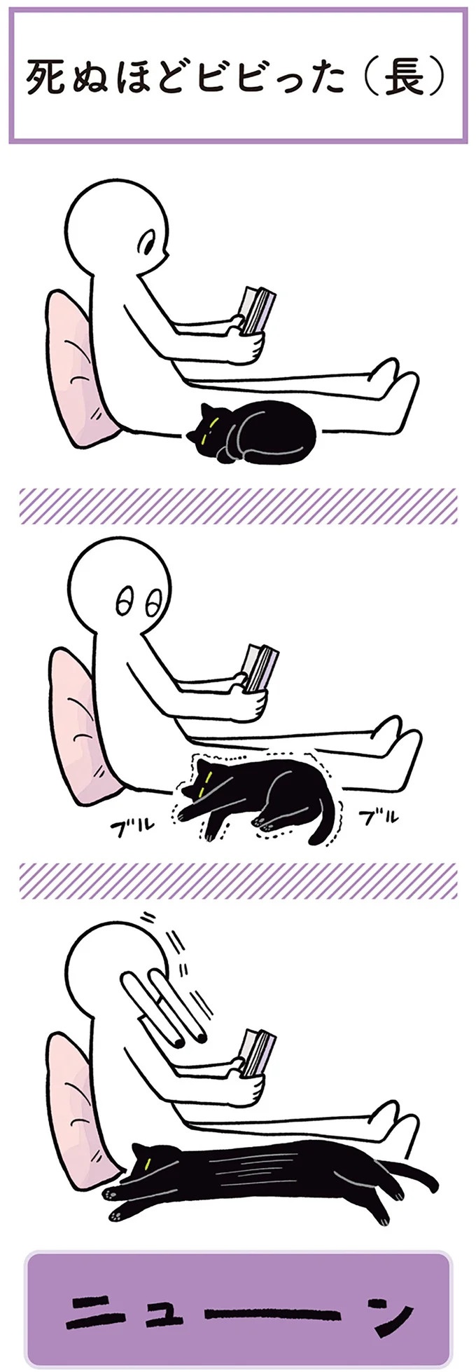 「ノラの子猫を保護してるからもらって」家にきた初日から…え、嘘でしょ？／黒猫ろんと暮らしたら（画像24/184枚目）