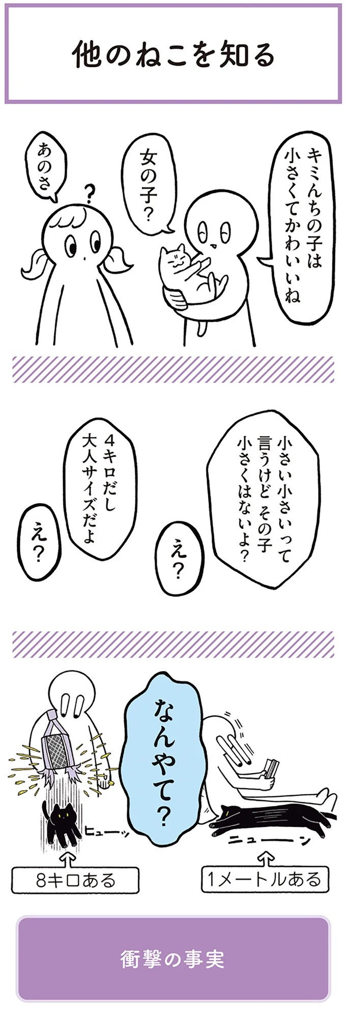 「ノラの子猫を保護してるからもらって」家にきた初日から…え、嘘でしょ？／黒猫ろんと暮らしたら（画像29/184枚目）